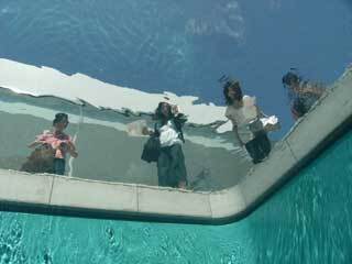 2008.8.22-020.jpg