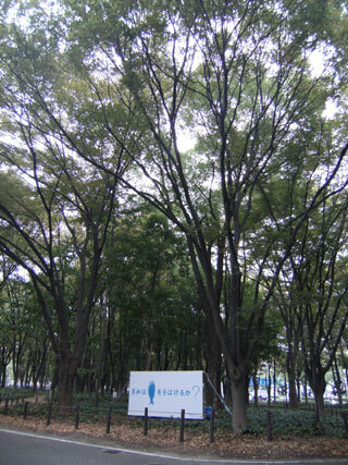 2010.10.19-005.jpg
