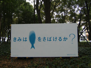 2010.10.19-006.jpg