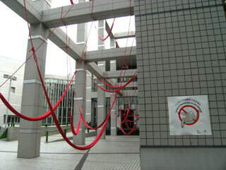 2010.10.19-019.jpg