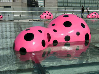 2010.10.8-008.jpg