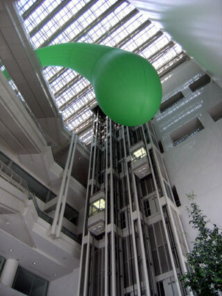 2010.10.8-014.jpg