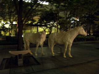2010.10.8-087.jpg