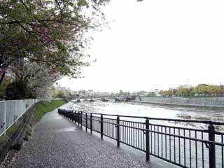 2010.4.20-017.jpg