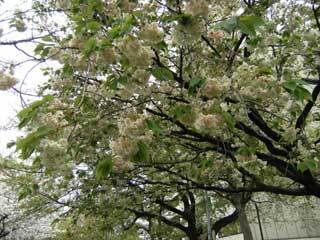 2010.4.20-021.jpg