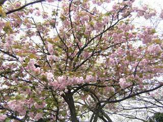 2010.4.20-023.jpg