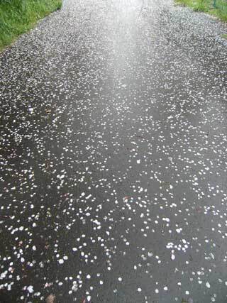 2010.4.20-024.jpg