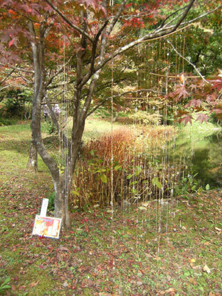 2011.11.7-006.jpg
