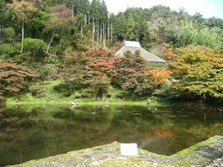 2011.11.7-011.jpg