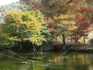 2011.11.7-023.jpg