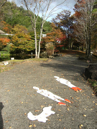 2011.11.7-033.jpg