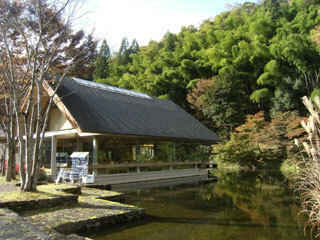 2011.11.7-034.jpg