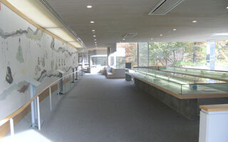 2011.11.7-041.jpg