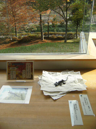2011.11.7-042.jpg