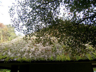 2011.11.7-056.jpg
