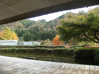 2011.11.7-063.jpg