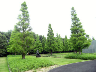 2011.6.19-019.jpg