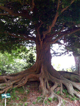 2011.7.3i-035.jpg