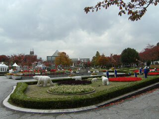 2012.11.13-009.jpg