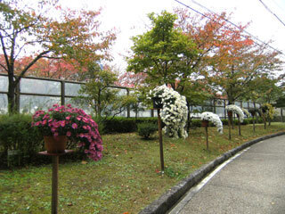 2012.11.13-010.jpg
