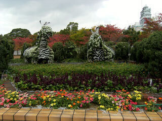 2012.11.13-028.jpg