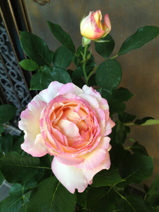 2012.5.12i-006.jpg