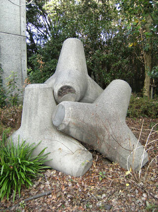2013.1.3-015.jpg