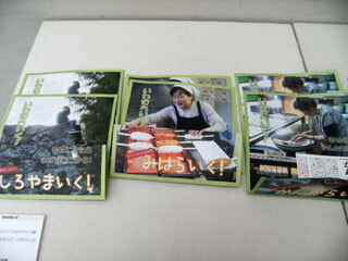 2013.3.7-027.jpg