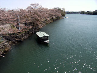 2013.4.8-017.jpg
