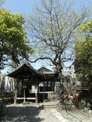 2013.4.8-021.jpg