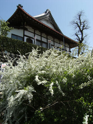 2013.4.8-027.jpg