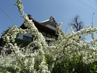 2013.4.8-030.jpg