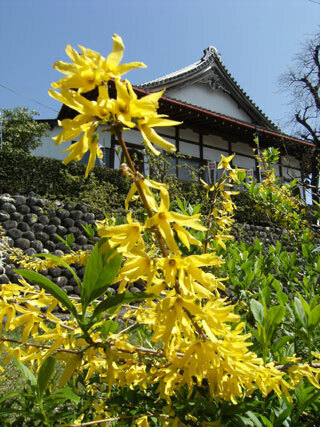2013.4.8-031.jpg