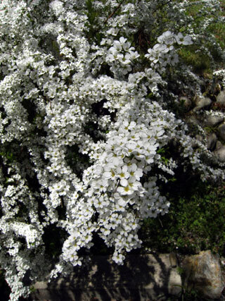2013.4.8-038.jpg