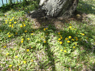 2013.4.8-041.jpg