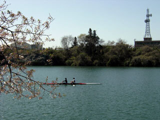 2013.4.8-044.jpg