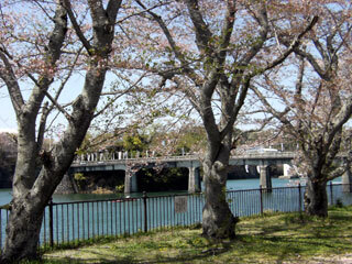 2013.4.8-045.jpg