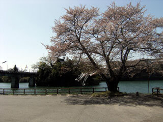 2013.4.8-053.jpg