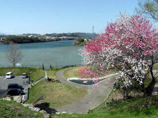 2013.4.8-054.jpg