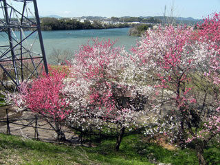 2013.4.8-056.jpg