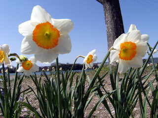 2013.4.8-065.jpg