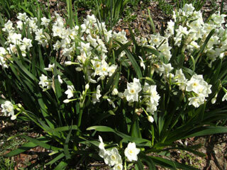 2013.4.8-068.jpg