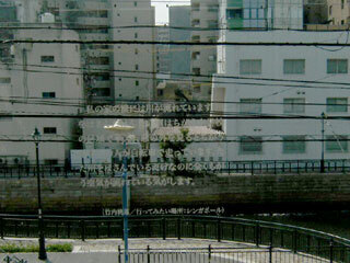 2013.9.12-013.jpg