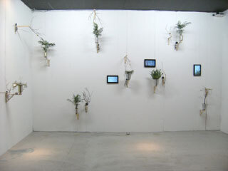 2013.9.12-016.jpg