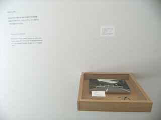 2013.9.12-047.jpg