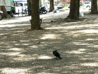 2013.9.22-019.jpg