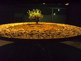 2013.9.22-024.jpg
