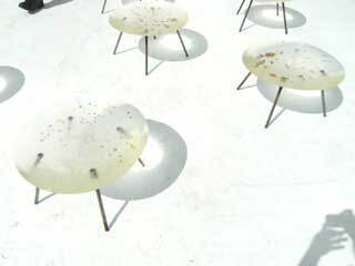 2013.9.9-054.jpg
