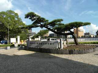 2013.9.9-120.jpg