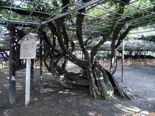 2013.9.9-137.jpg
